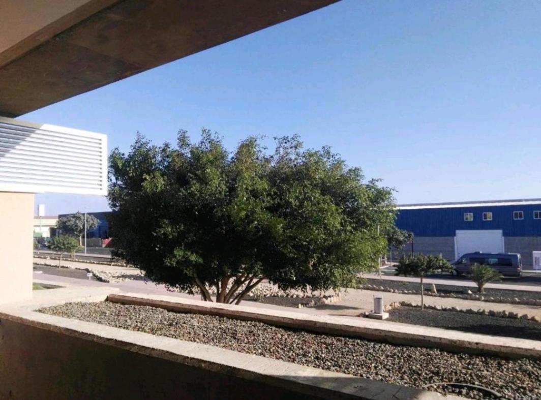 Aparthotel Strelitzia Park San Miguel de Abona Exterior foto