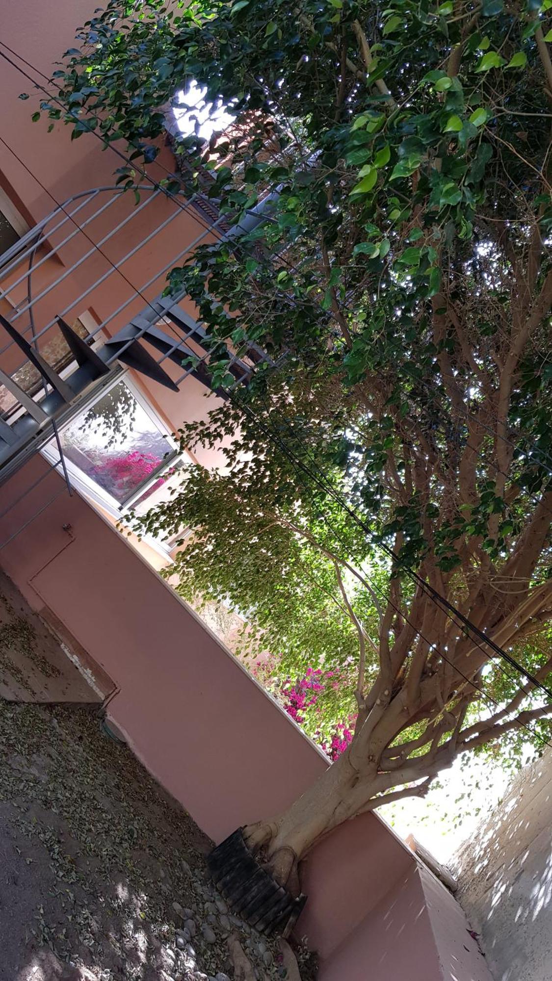 Aparthotel Strelitzia Park San Miguel de Abona Habitación foto